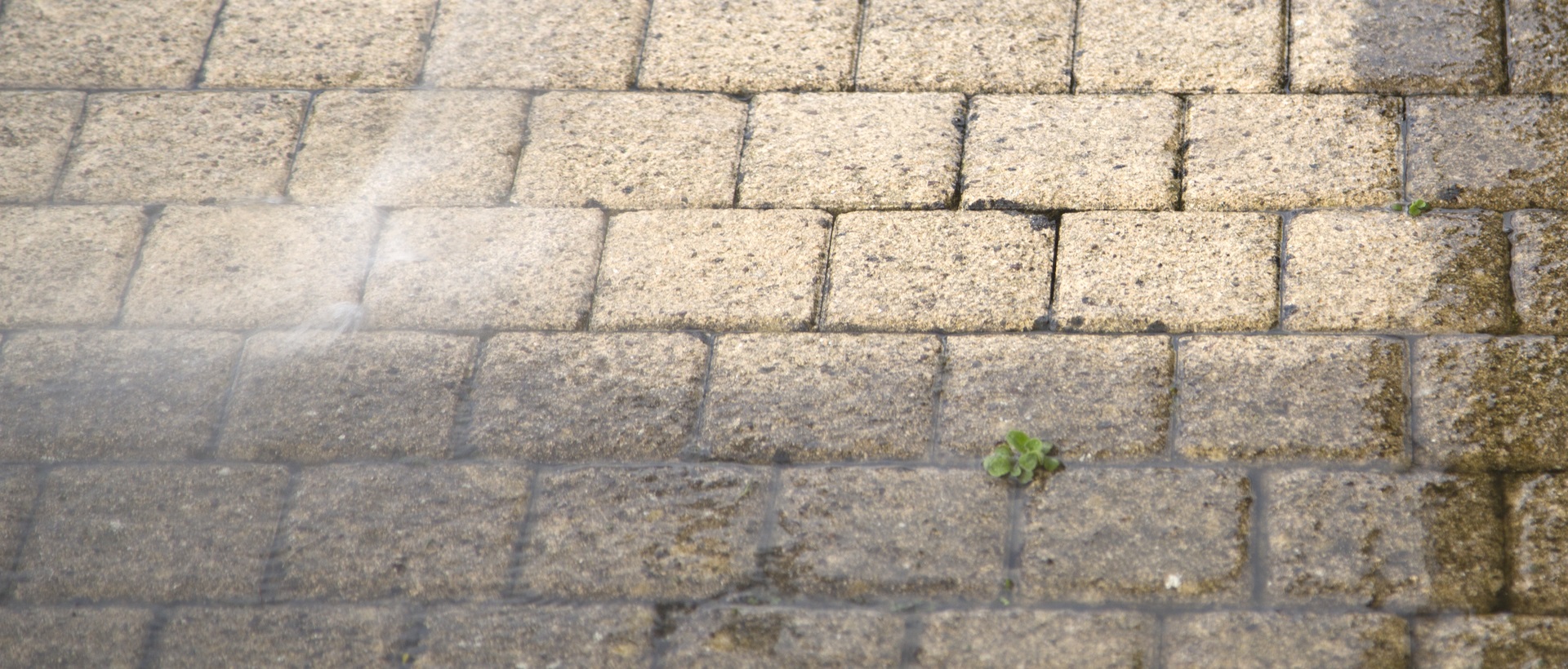 flagging and patios E13