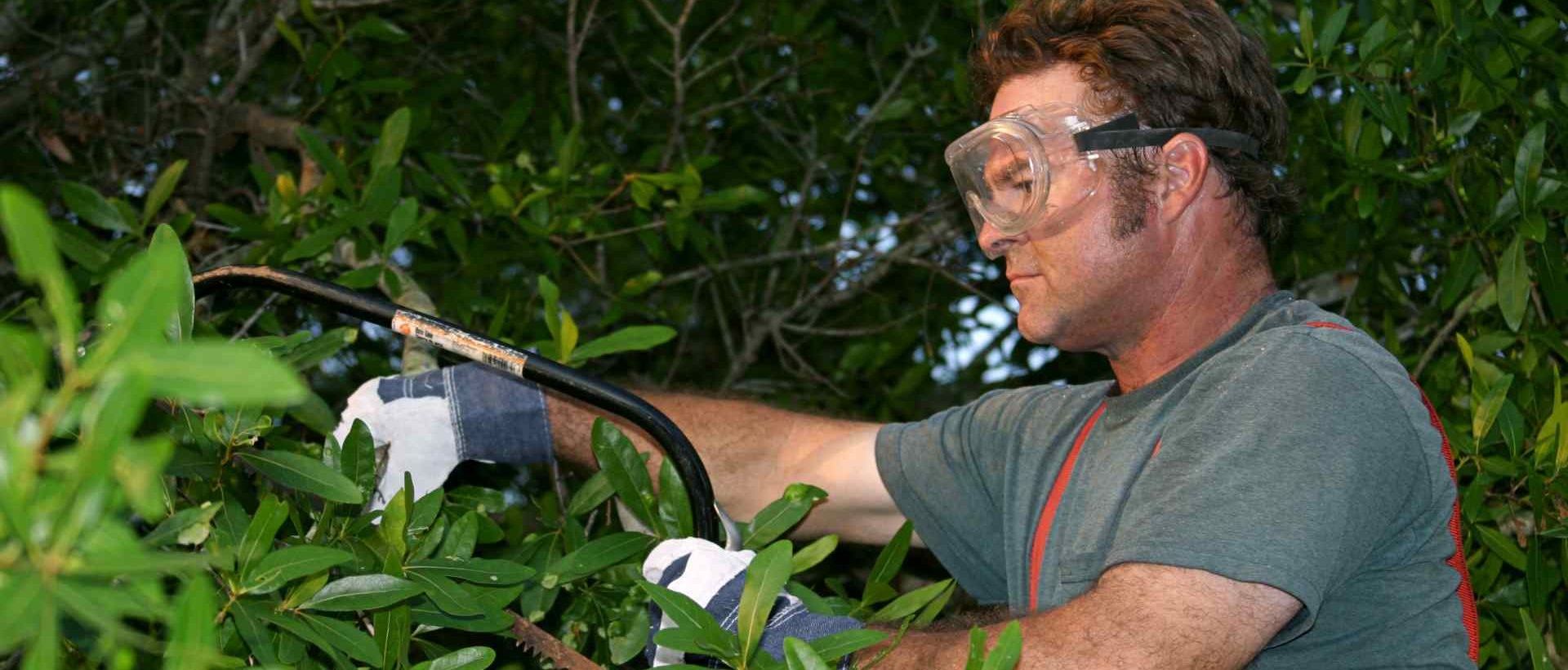 garden clearance E13